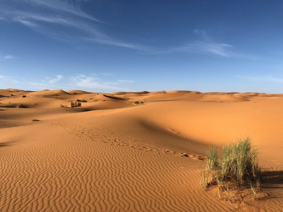 Chuva no deserto do Saara; um fenômeno climático inédito e alarmante; SAIBA TUDO