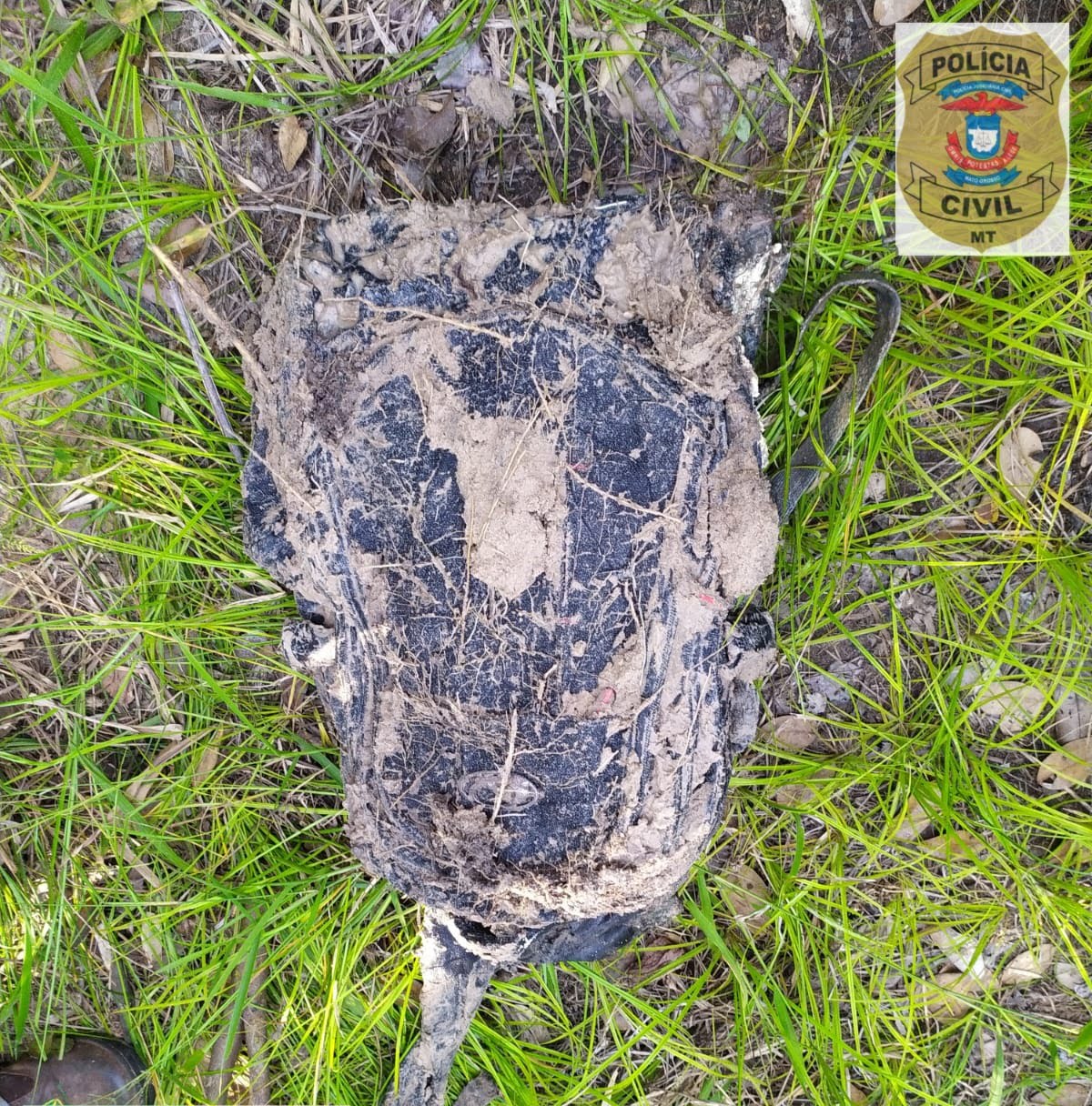 Polícia Civil descobre corpo de jovem desaparecida em São Félix do Araguaia