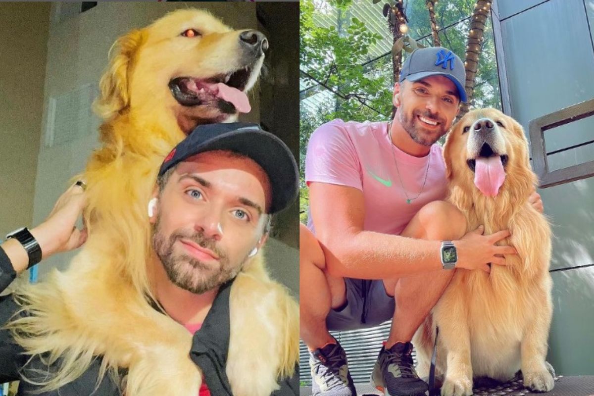 Golden destinado ao Mato Grosso morre após ser enviado por engano a fortaleza