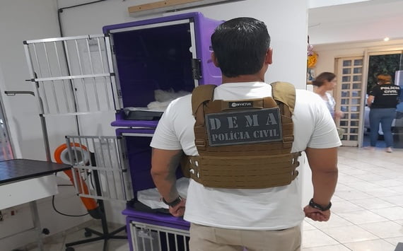 Polícia Civil investiga morte trágica de cadelas em petshop