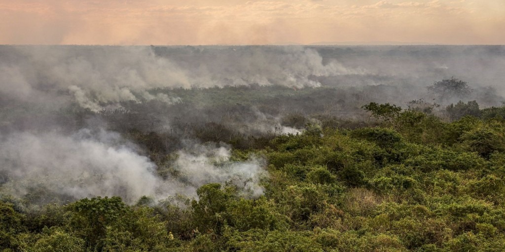 Crise hídrica sem precedentes no Pantanal; Descubra por que 2024 será o ano da seca histórica!