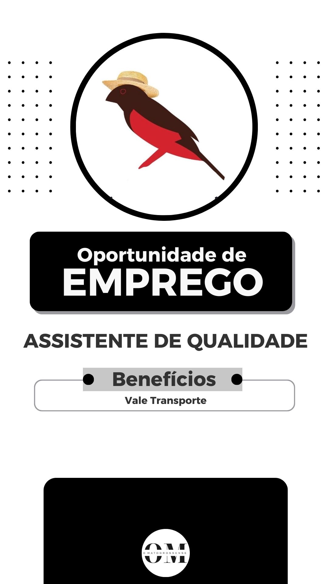 ASSISTENTE DE QUALIDADE