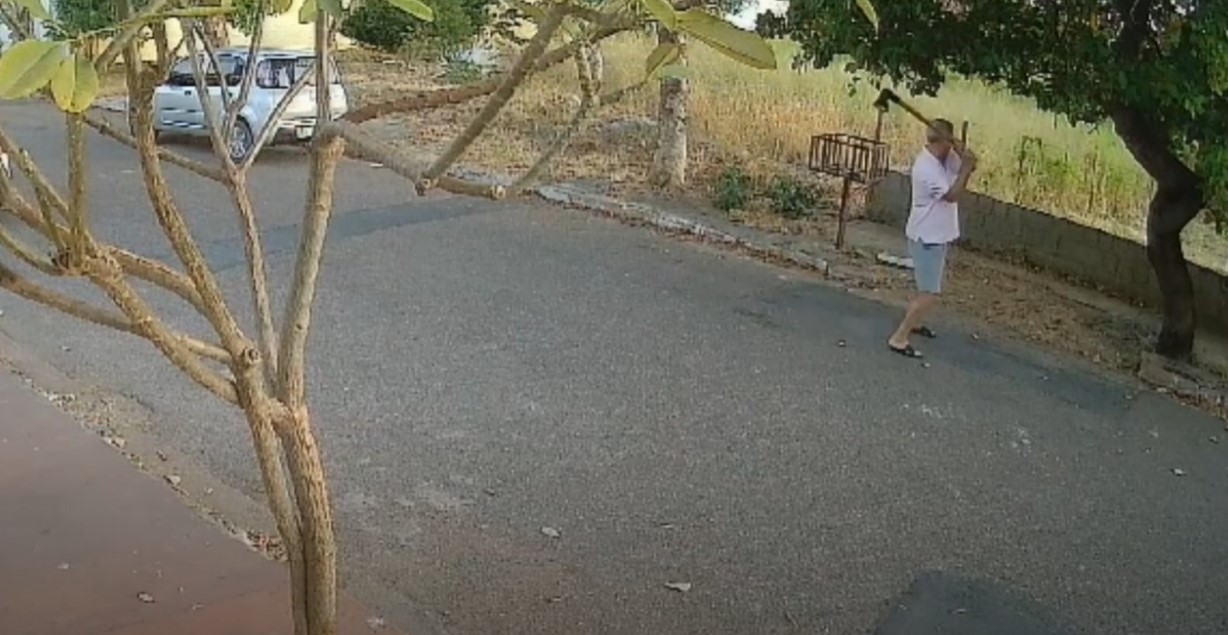 Homem é flagrado matando gatos com golpes de machado