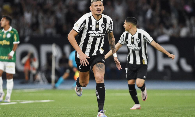 Tiquinho Soares, do Botafogo, comemora o seu gol na partida entre Botafogo e Palmeiras