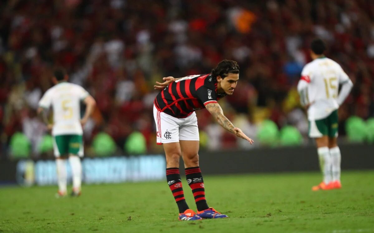Pedro marcou seu 29º na temporada pelo Flamengo na vitória sobre o Palmeiras