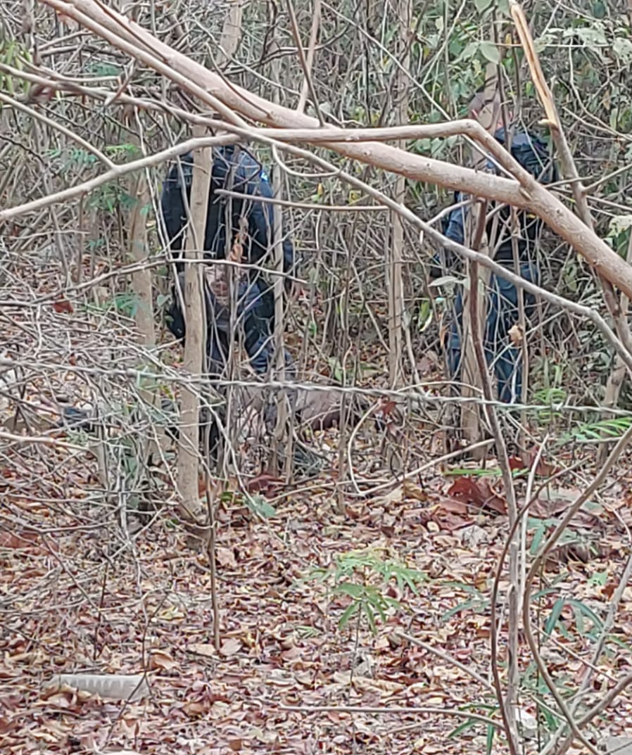 Polícia investiga corpo encontrado em matagal de Nobres; colaboração da comunidade é essencial