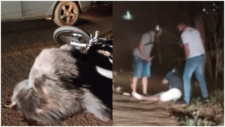 Motociclista é socorrido em estado grave após colidir moto contra búfalo