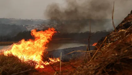 Incêndios ameaçam o interior de São Paulo: cinco municípios em alerta; SAIBA TUDO