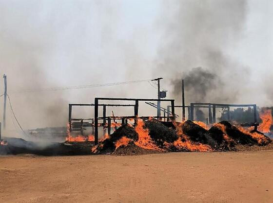 Cabo rompido causa incêndio em madeireira em Sinop/MT