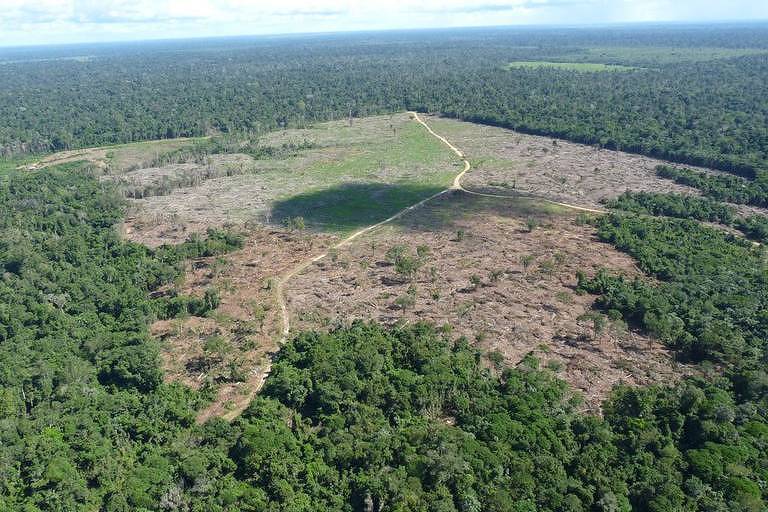 Brasil impõe multas milionárias e punições históricas para crimes ambientais; SAIBA TUDO