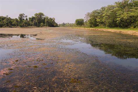 racionamento deixa Alta Floresta sem abastecimento de água