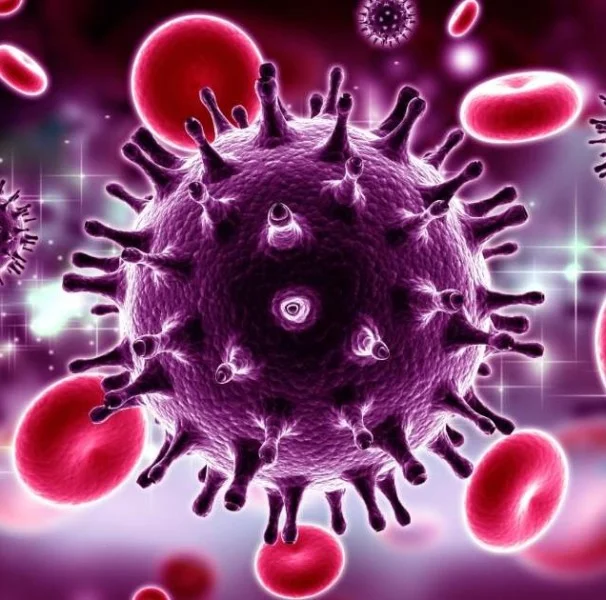 Seis pacientes contraem HIV após transplantes de órgãos no RJ; SAIBA TUDO
