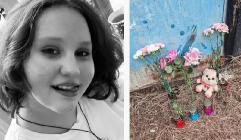 Menina de 12 anos morre após ataque brutal de cães de rua na Rússia: SAIBA DETALHES