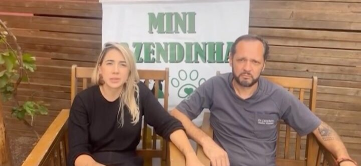 Veterinários se pronunciam e lamentam tragédia em fazendinha; VEJA VÍDEO