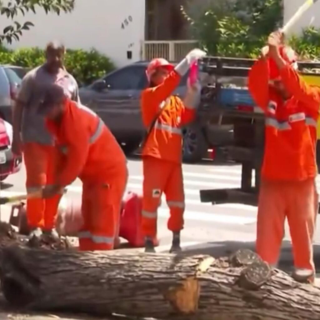 Funcionários da prefeitura de SP são flagrados cortando árvore com machado; VEJA VÍDEO