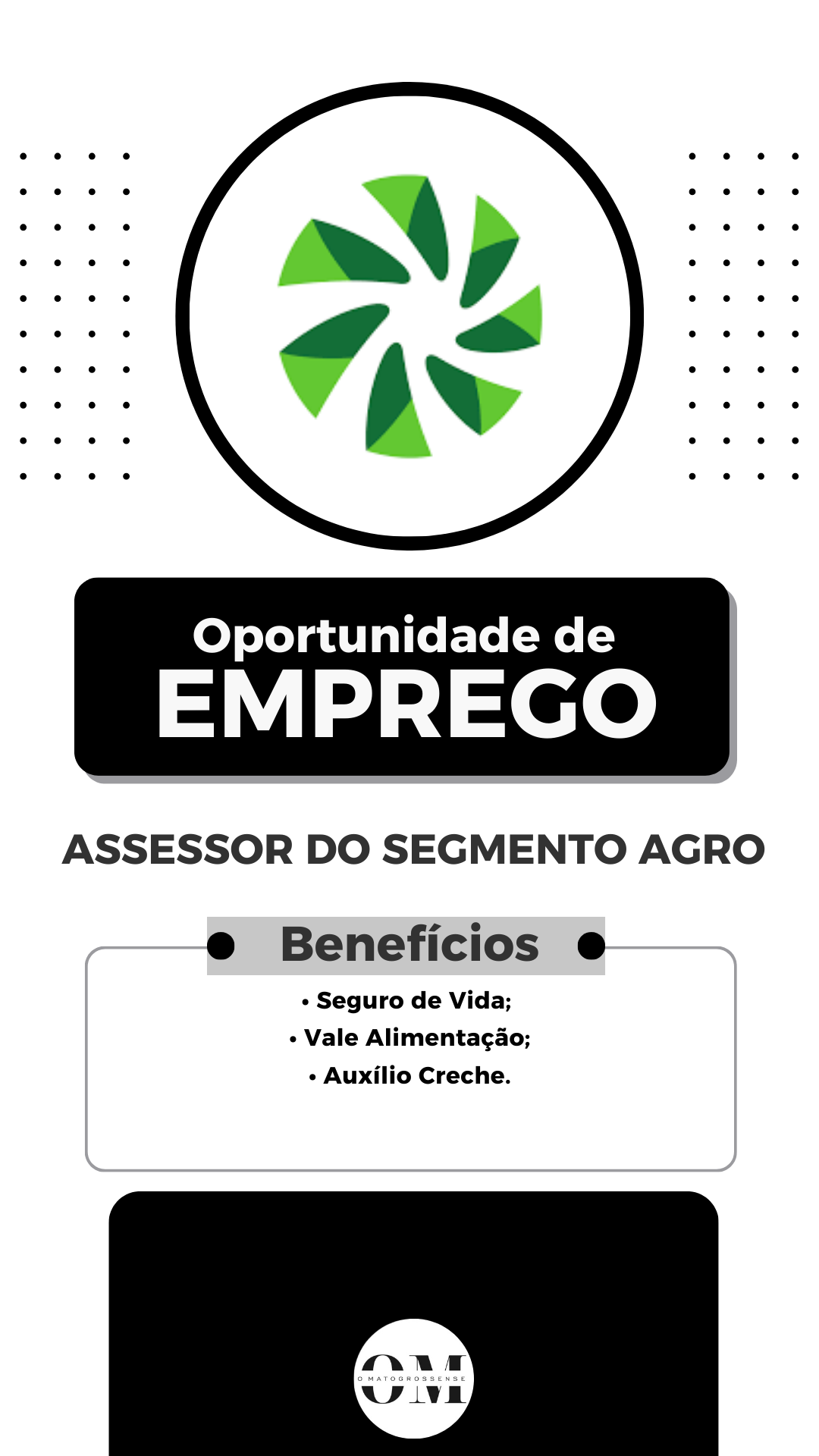 Assessor do Segmento AGRO