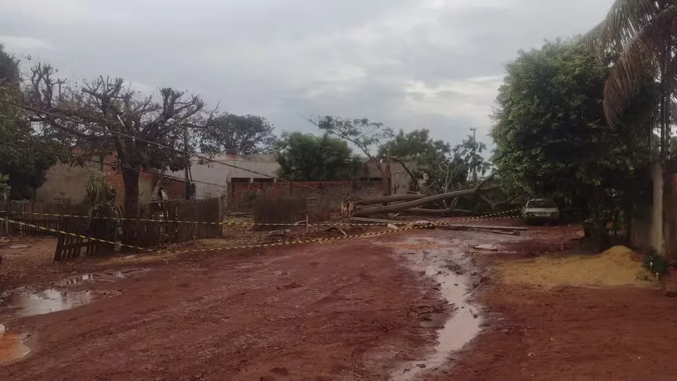 Temporal Arrasa Galpão e Deixa Moradores em Alerta em Tangará da Serra
