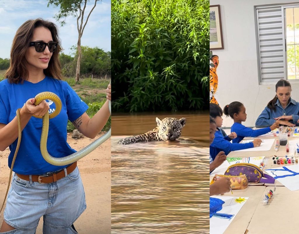 Rafa Kalimann Encontra Onça-Pintada no Pantanal