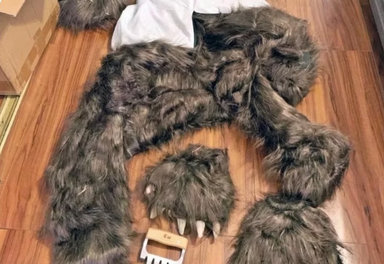 Suspeitos vestem fantasia de urso para enganar seguradora nos EUA; VEJA VÍDEO