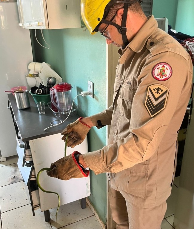 Bombeiros de MT salvam vidas em dois resgates emocionantes