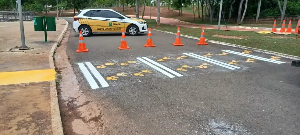 Capivaras Inspiram Educação no Trânsito em Cuiabá