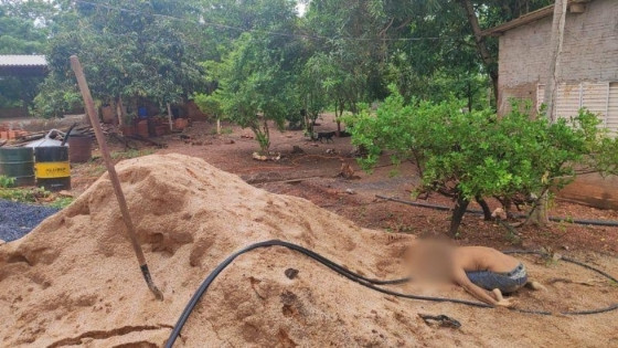 Adolescente mata padrasto a pauladas em Várzea Grande e é apreendido