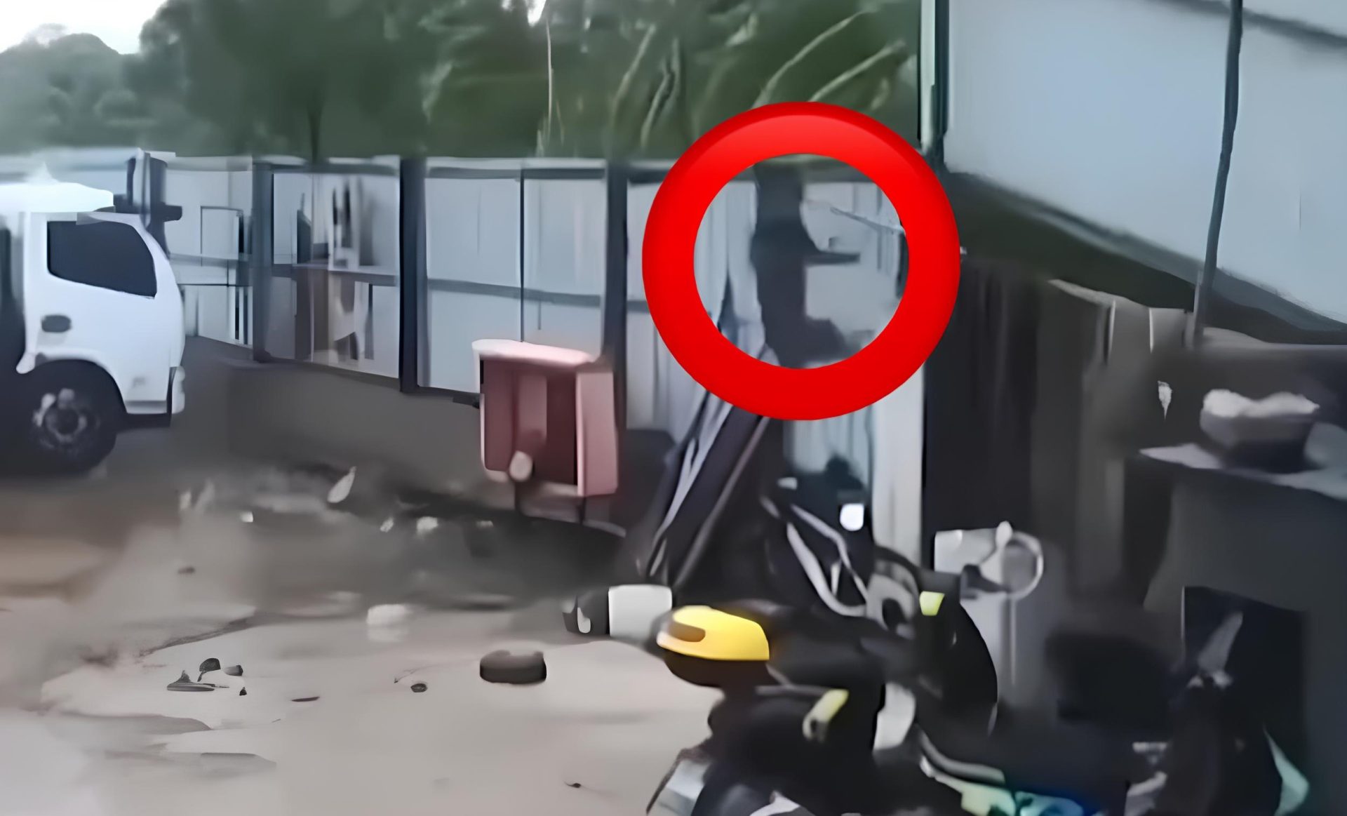 Cachorro Preso por Coleira é Arrastado por Tenda em Evento na China