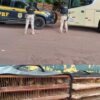 PRF Apreende 265 Canários-da-Terra em Ônibus na BR-070
