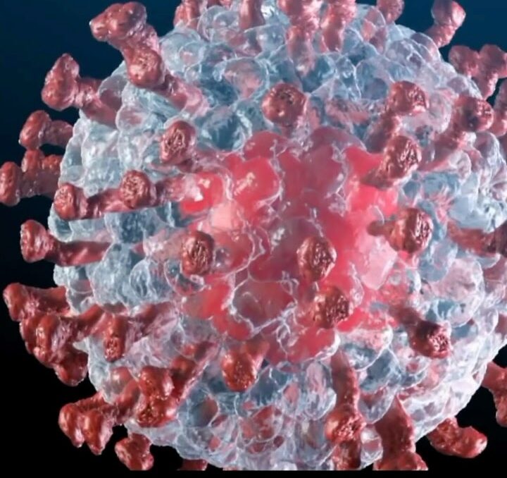 Surto mortal na República Democrática do Congo já deixou 143 mortos desde Novembro; VEJA VÍDEO