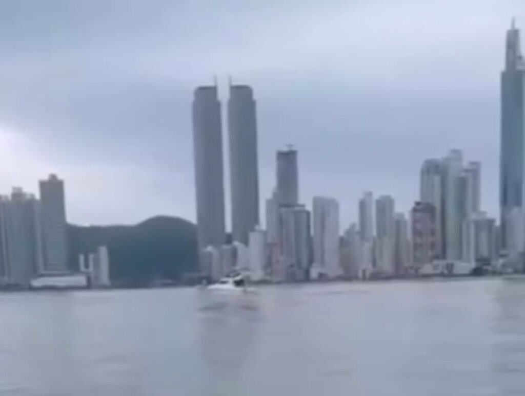 Golfinhos encantam moradores e turistas em Balneário Camboriú fazendo acrobacias; VEJA VÍDEO