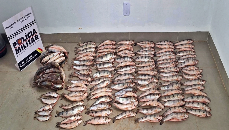 Homem é preso pela PM com 152 unidades de pescado irregular na MT-339