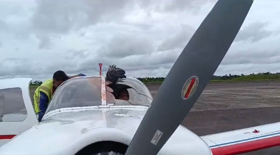 urubu avião