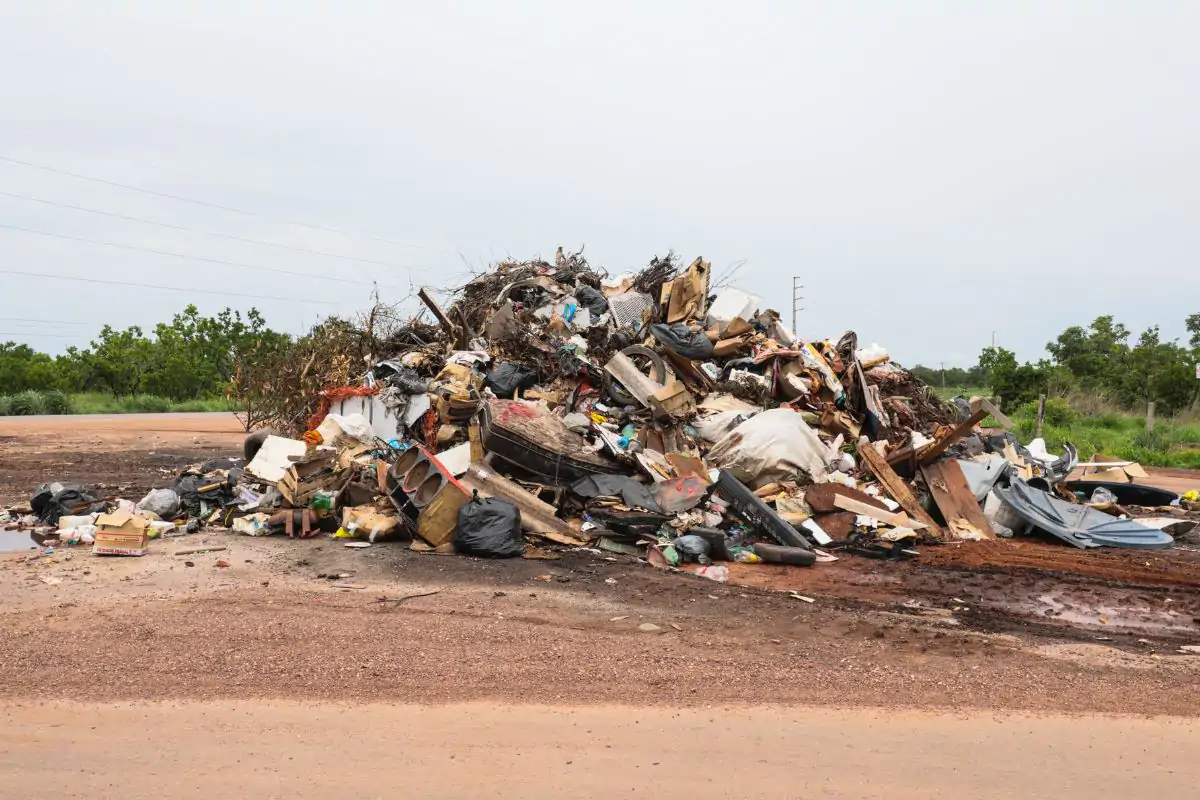 480 Toneladas de Lixo Irregular Removidas Apenas em 2024