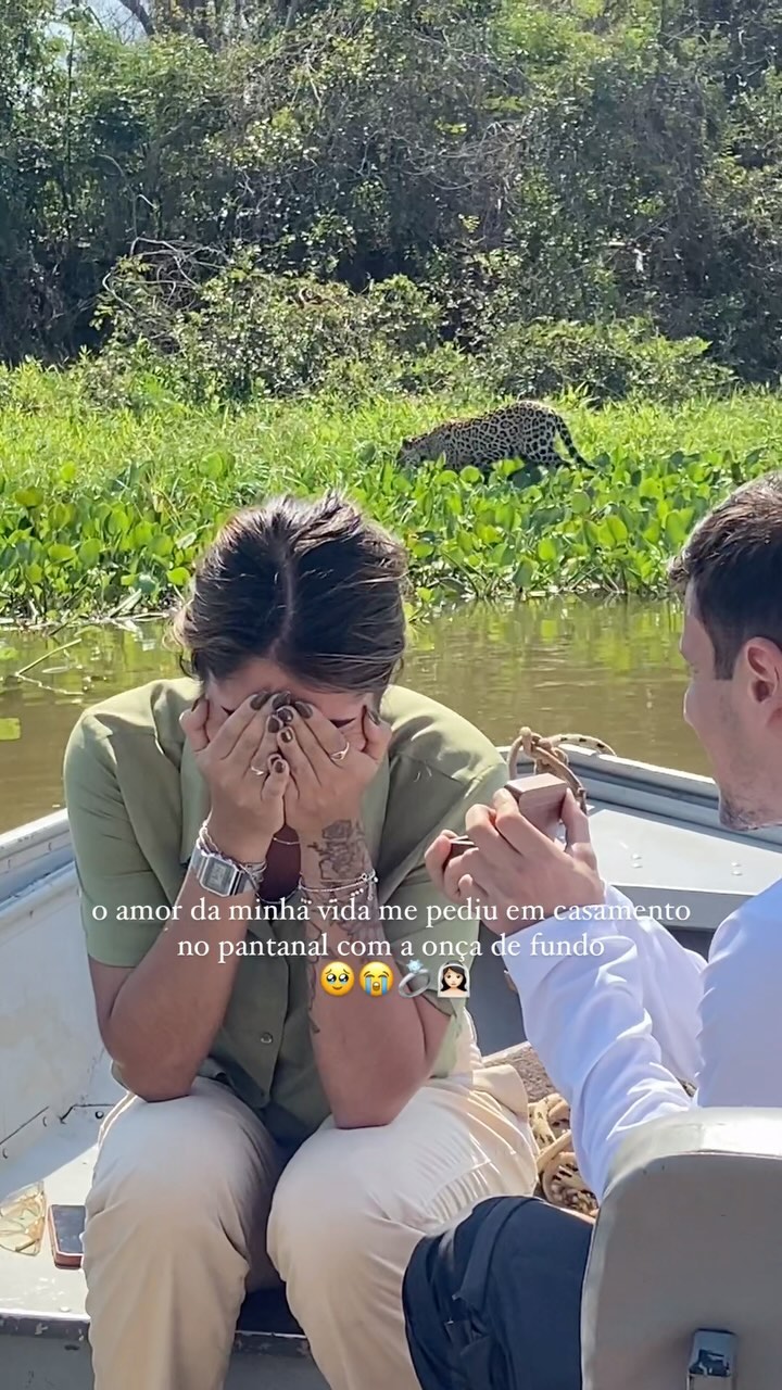 Onça aparece de surpresa e testemunha pedido de casamento no Pantanal