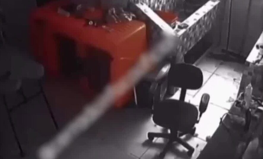 Cachorro morre durante atendimento em petshop no DF e imagens de agressão geram revolta; VEJA VÍDEO