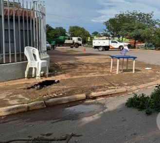 Raio derruba fios e cachorro é morto por choque elétrico