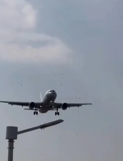 Airbus A320 colide com pássaros e deixa marcas de sangue em registro impressionante; VEJA VÍDEO