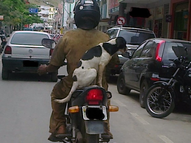 Cachorro é flagrado na garupa de moto em plena Avenida do CPA