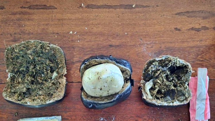 Mulheres são presas tentando entrar em presídio com drogas escondidas