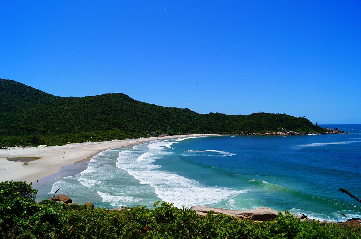 Corpo de homem é encontrado em área isolada no Sul de Florianópolis; VEJA VÍDEO