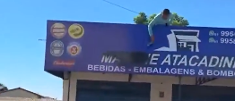 distribuidora