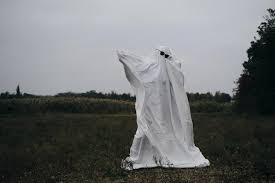 Ladrão fantasiado de fantasma rouba bicicletas no RJ e viraliza; VEJA VÍDEO