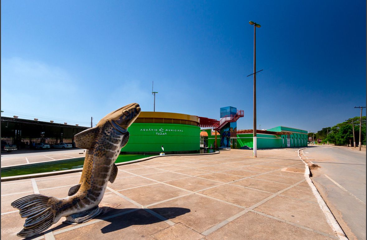 Aquário Municipal de Cuiabá Reabre Após 14 Anos com Novidades e Expectativas