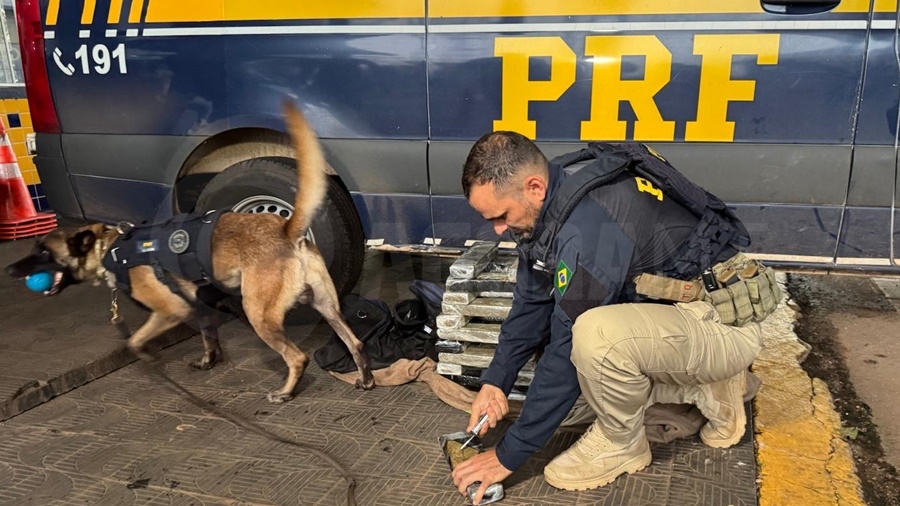 Cão Farejador da PRF Aponta Malas com 20 kg de Maconha