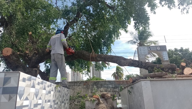 Cemitérios de Cuiabá Passam por Revitalização Total