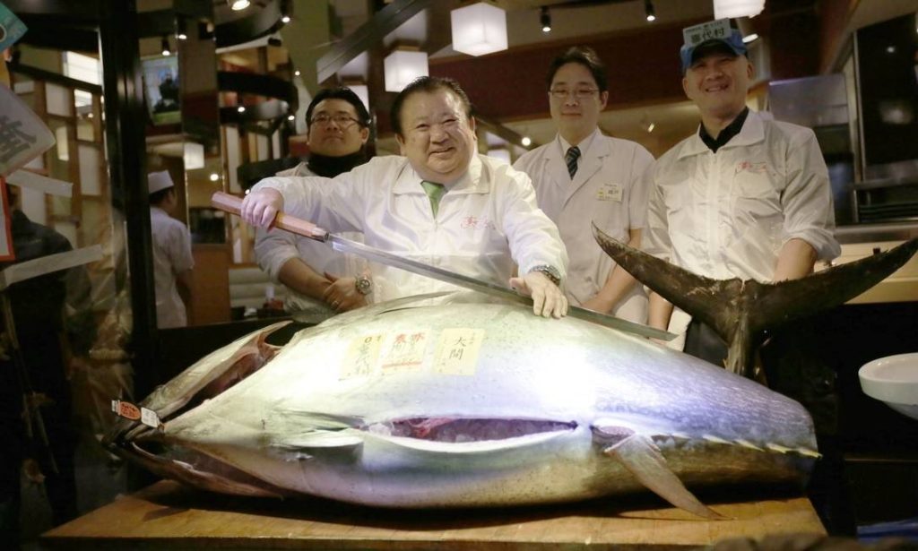 Atum Bluefin é vendido por R$ 8 milhões em leilão tradicional no Japão; VEJA VÍDEO