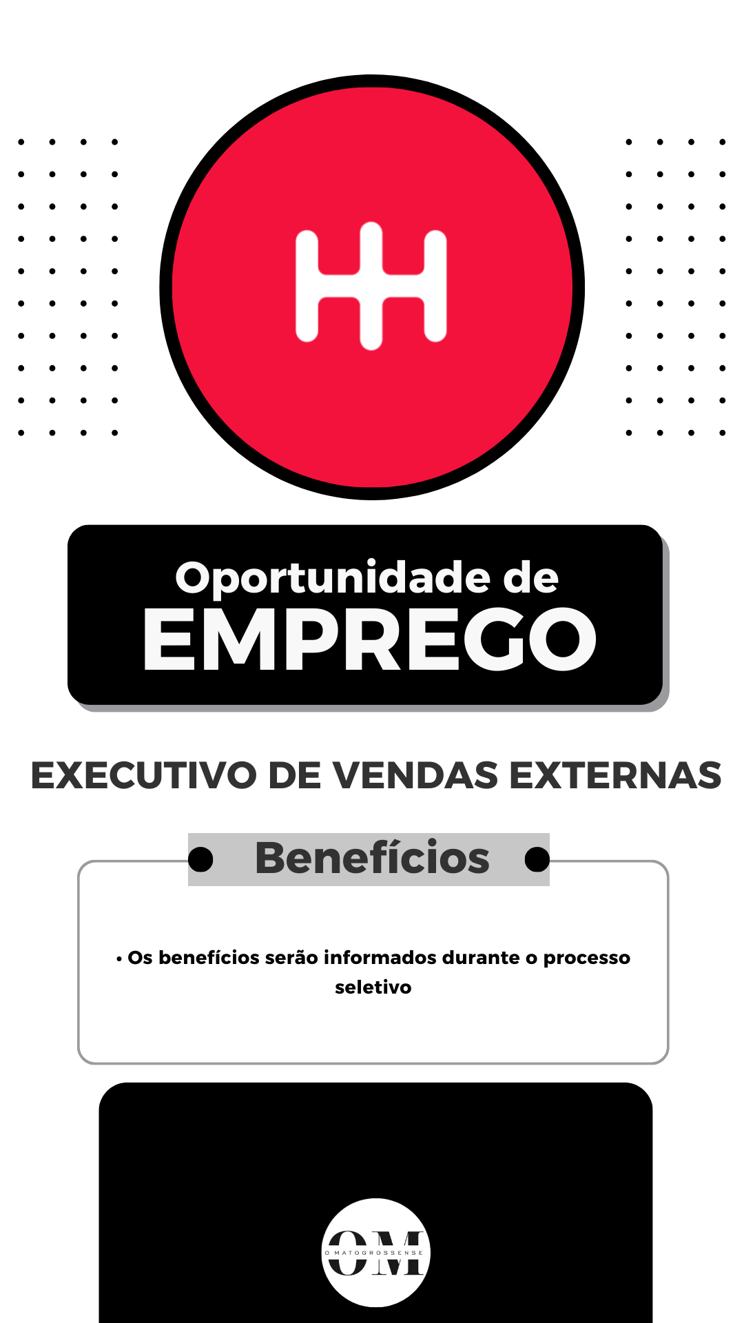 Executivo de Vendas Externas