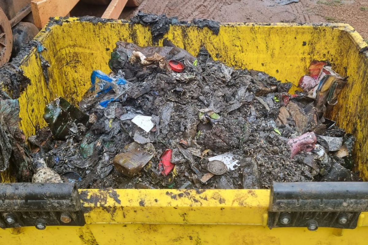 Escândalo Ambiental Leva Gerente da Locar à Prisão