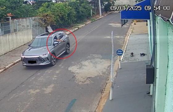 Homem Atira em Pombos e Gatos e Revolta Moradores
