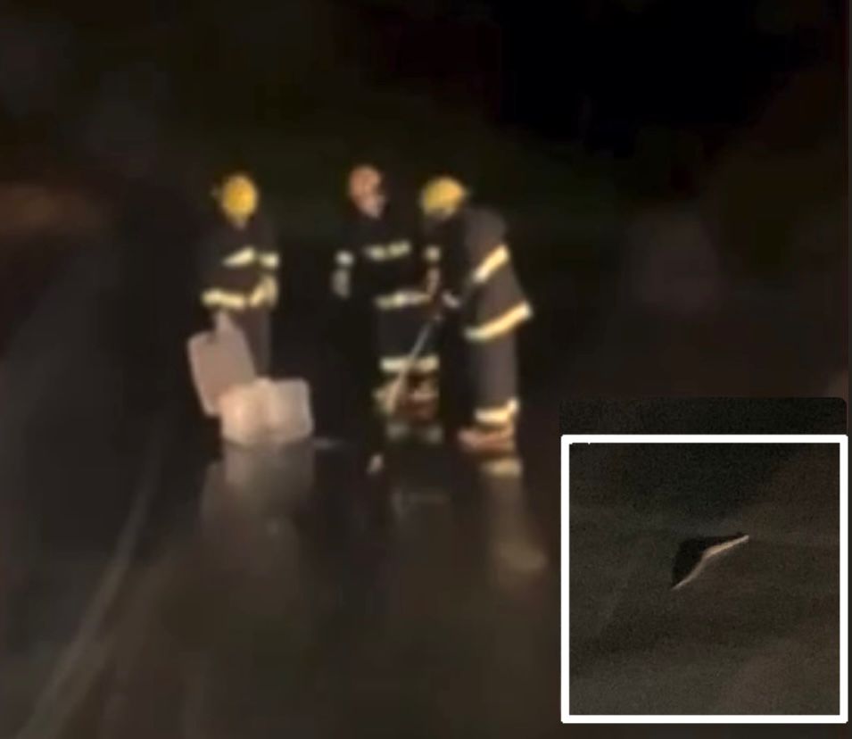 Cobra interrompe voo no Aeroporto Marechal Rondon